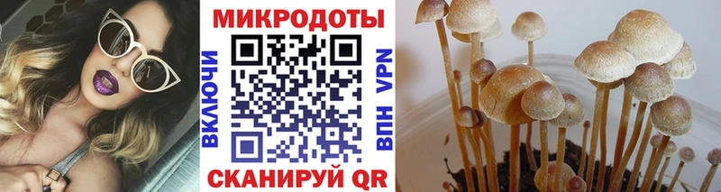 Галлюциногенные грибы Psilocybe  Барнаул 